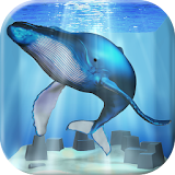 クジラ育成ゲーム-完全無料まったり癒しの鯨を育てる放置ゲーム icon