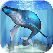 Top 10 Educational Apps Like クジラ育成ゲーム-完全無料まったり癒しの鯨を育てる放置ゲーム - Best Alternatives