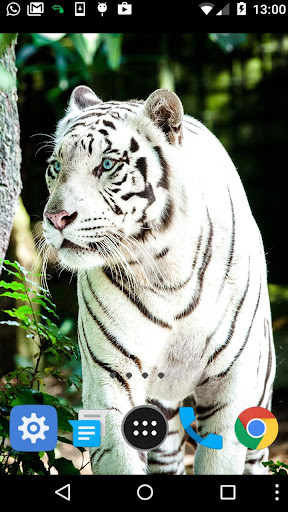 big cat wallpaper Screen 2