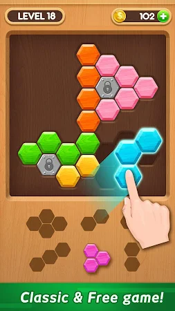 Game screenshot Wood Block Puzzle - Hexa hack