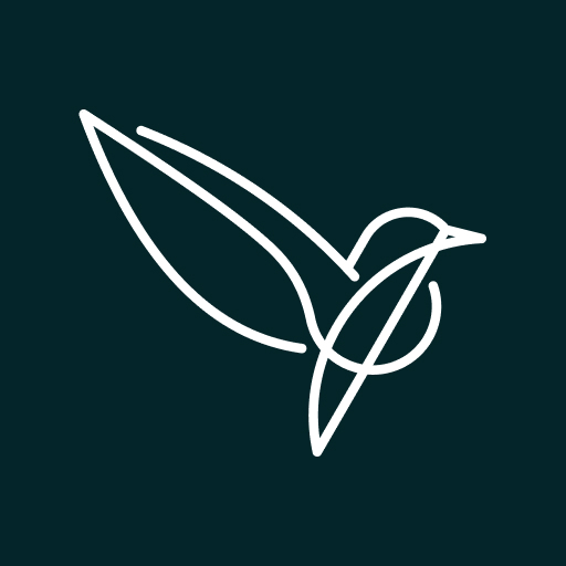 Brainstork Mobile Screen Share logo
