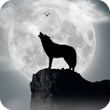 Moon Wolf Live Wallpaper icon