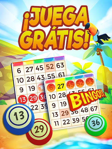Bingo