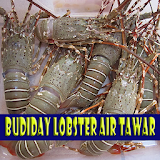 Budidaya Lobster Air Tawar icon