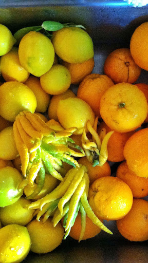 Buddhas Hand Wallpaper