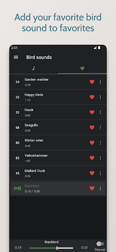 Bird sounds and ringtones Screen 3