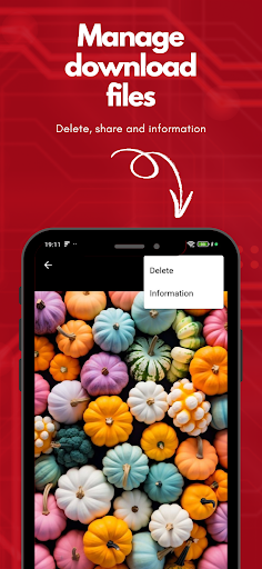 PinDown Pinterest Downloader