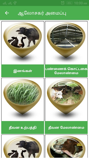 Cattle Expert System Tamil Screen 3