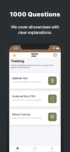 Screenshot of British Army Cognitive Test