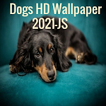 Cover Image of डाउनलोड Dogs HD Wallpaper 2021-JS 5.0 APK