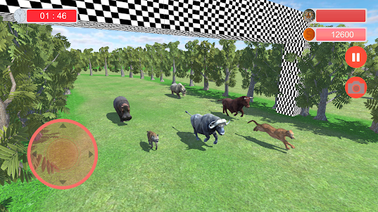 Wild Animals Race Simulator 3D