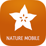 Cover Image of Unduh Exotic Fruits & Vegetables 2  APK