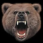 Cover Image of Download Bears Wallpapers  APK