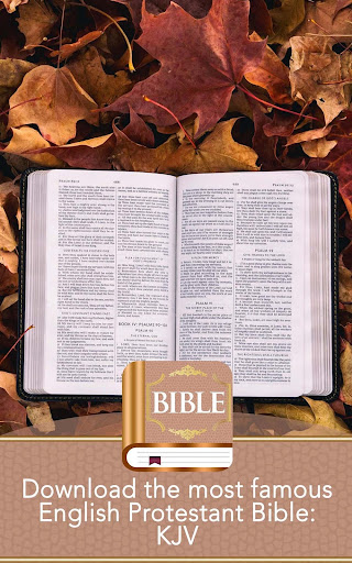 KJV Bible screenshot 8