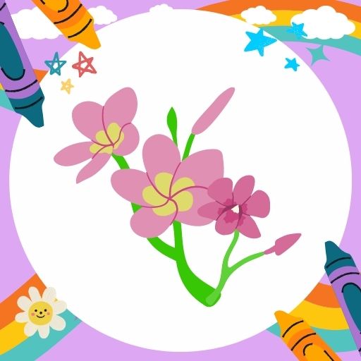 Off Coloring Book Fresh Flower