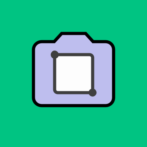 Custom Size Camera logo