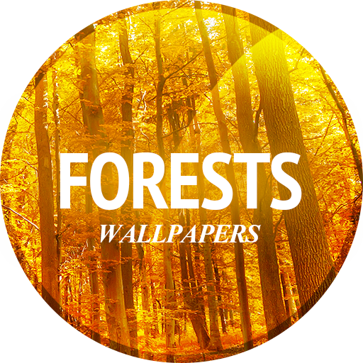 Forests wallpaper in 4K  Icon