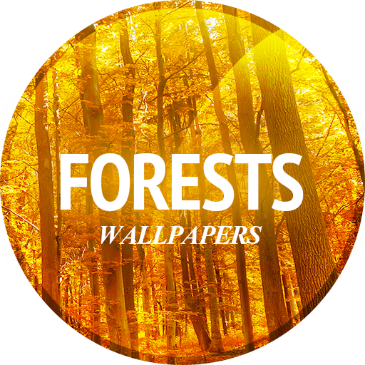 Forests wallpaper in 4K logo
