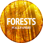 Cover Image of Download Forests wallpaper in 4K  APK