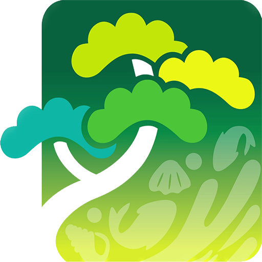 강릉솔향콜 (기사용) logo