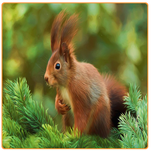 Download Squirrel Run Flying (2).apk for Android 
