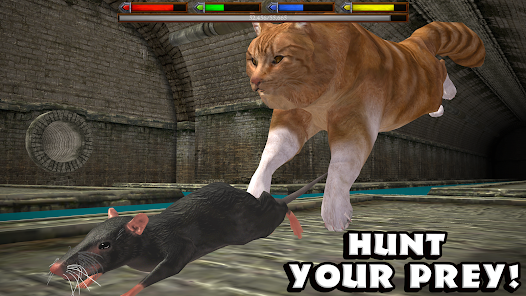 Pet Cat Simulator Cat Games - Apps on Google Play