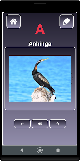 Android application A to Z Birds Name screenshort