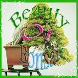 Beauty Of Bonsai icon