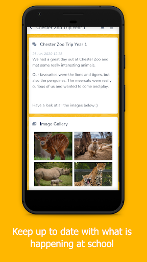 Android application School Spider screenshort