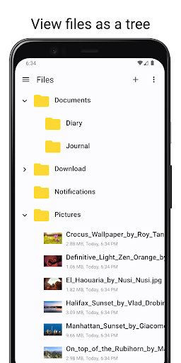 Screenshot of Files