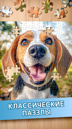 Game screenshot Головоломки - Puzzle Games hack
