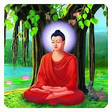 Buddha HD Wallpapers icon