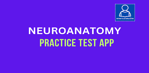 Neuroanatomy Quiz
