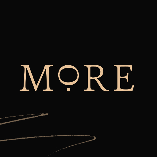 More Travel Experience logo