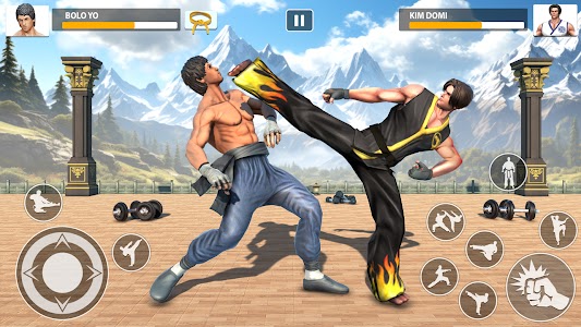 Karate Fighter Kung Fu Games Unknown