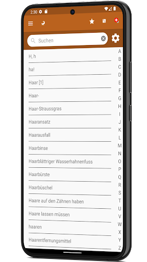 Wörterbuch Rumantsch Vallader Screen 2