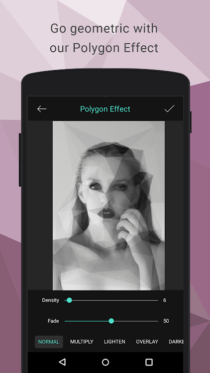 Polygon Effect - Low Poly Art - 1.1 - (Android)