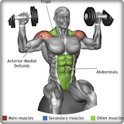 body muscle training tutorial