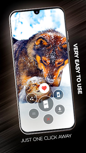 Wallpapers with dogs in 4K Screen 2