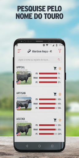 Semex Brasil Screen 3