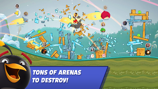 Angry Birds Racing 5
