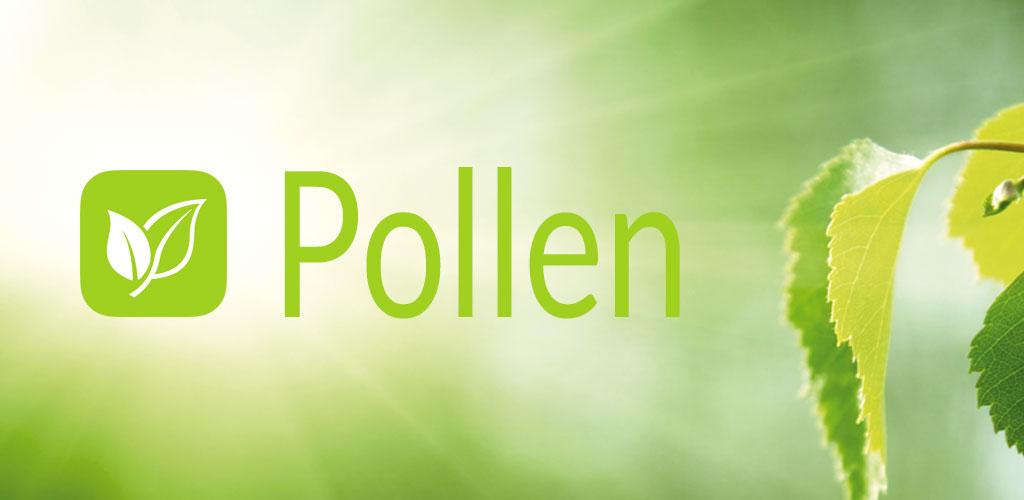 Pollen группа. Приложение пыльца