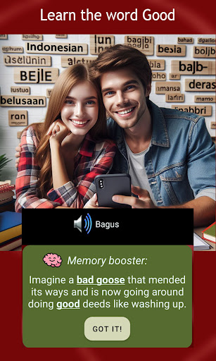 Learn Indonesian -LingoLinks Screen 3