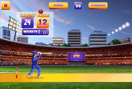 Mr Ipl legend cricket game