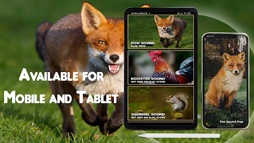 Download Fox Sound - Animal Ringtone Free for Android - Fox Sound - Animal  Ringtone APK Download 