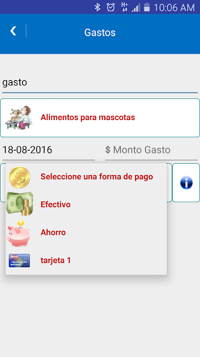 Control de Gastos Diarios