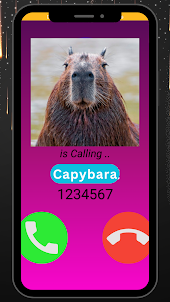 Capybara Funny Fake Call &chat
