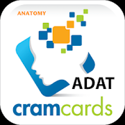 ADAT Anatomy Cram Cards