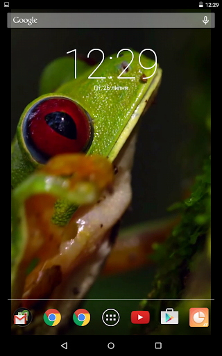 Green Frog Live Wallpaper