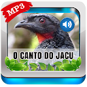 App herunterladen O Canto do Jacu Pássaro Installieren Sie Neueste APK Downloader